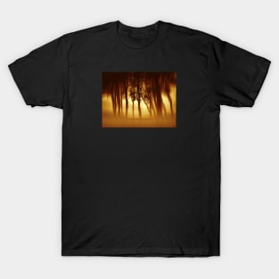 Morning Tree Silhouette(Sepia) T-Shirt